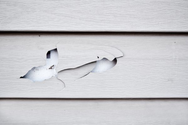Siding Leak Repair in Anoka