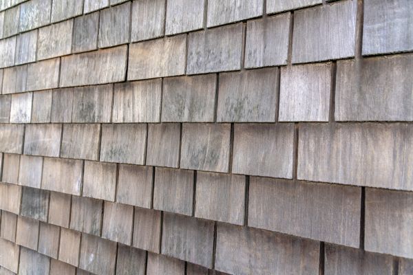 Shake Siding Repair in Anoka